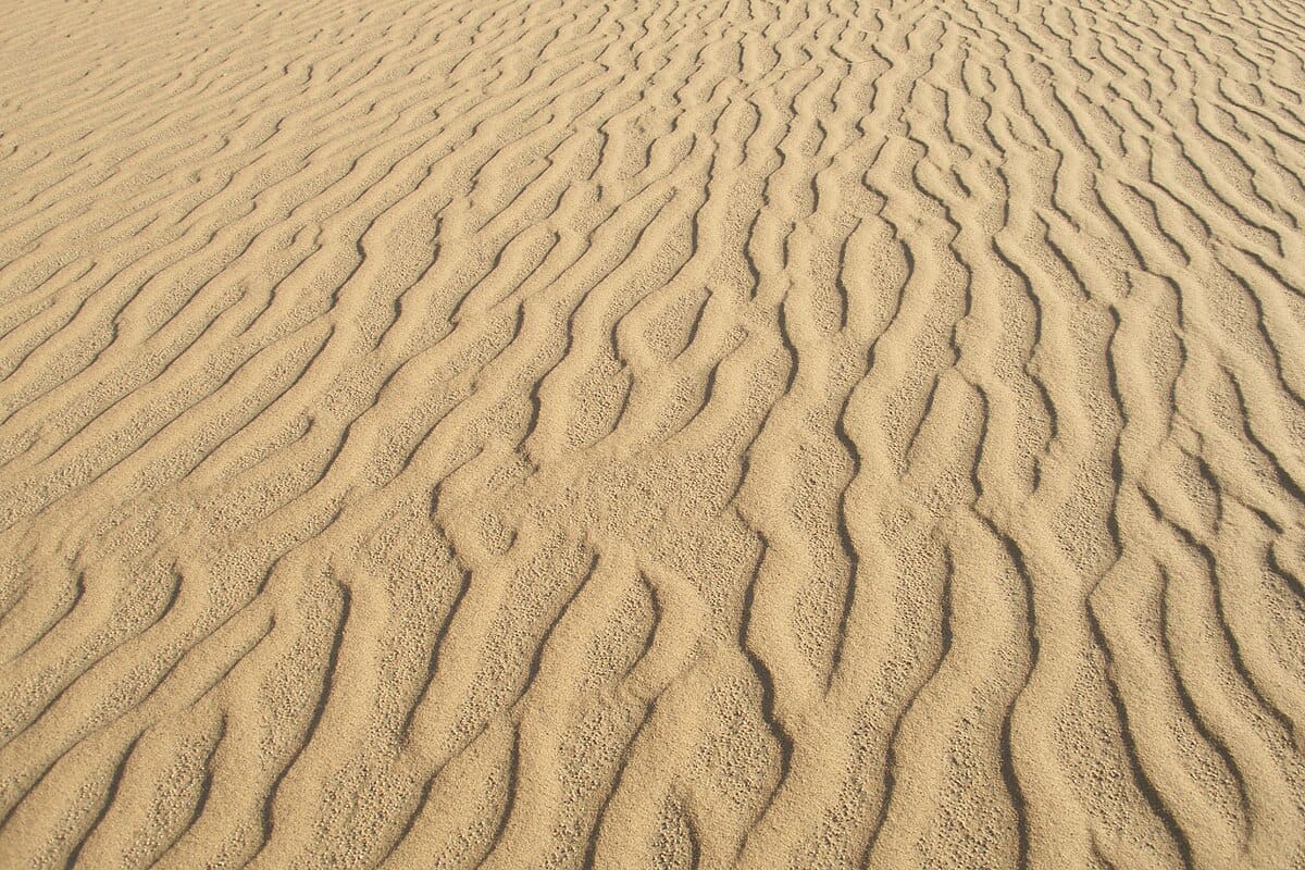Windswept sand dunes